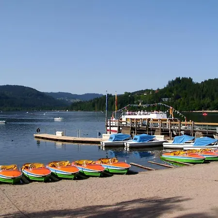 Feldbergblick *