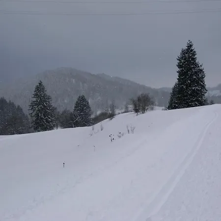 公寓 Feldbergblick *