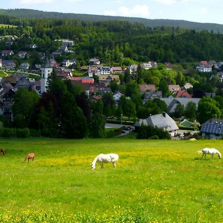 Feldbergblick
