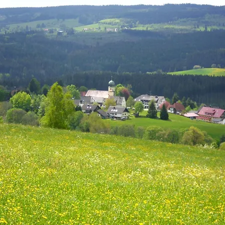 Feldbergblick 公寓 伦茨基希